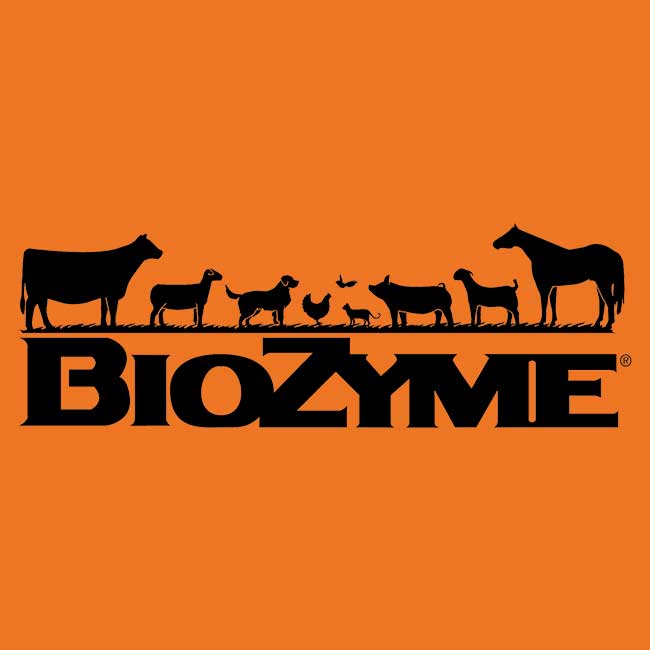 Sheep Products