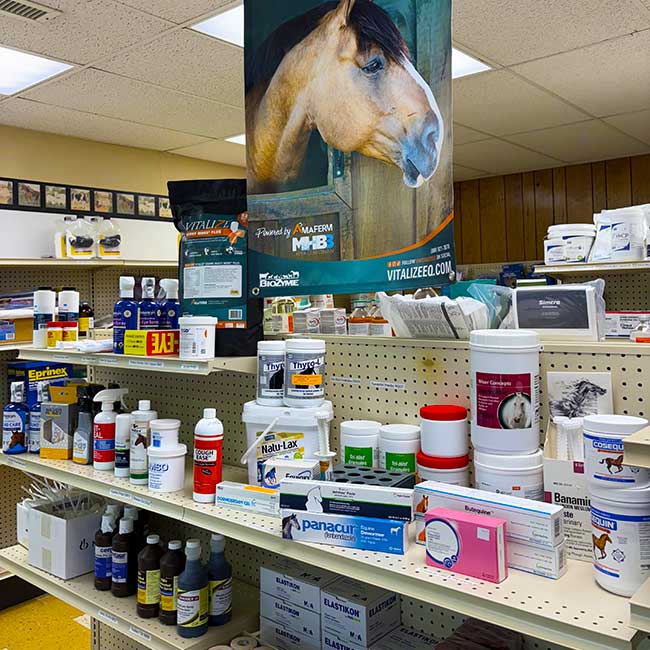 Equine Supplies