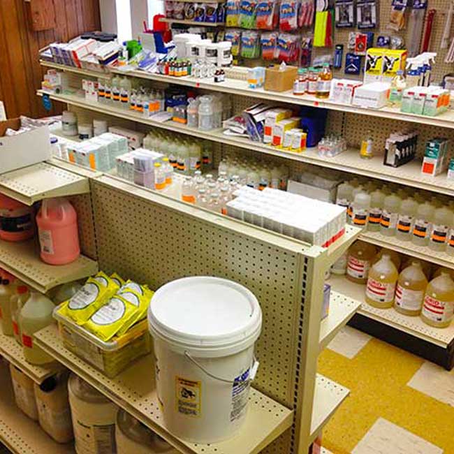 Large Animal Supplies